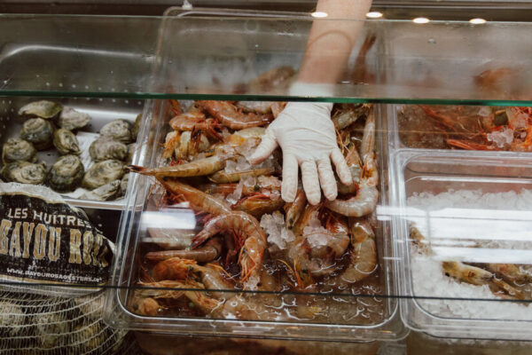 Investigating Shrimp Fraud Is an Urgent Matter on the Gulf Coast