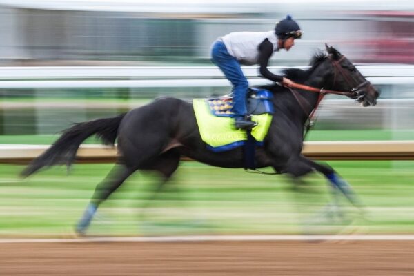 Rodriguez, trained by Bob Baffert, scratched from Kentucky Derby