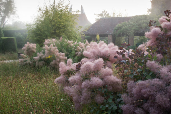 The 25 Essential Gardens to See in Your Lifetime