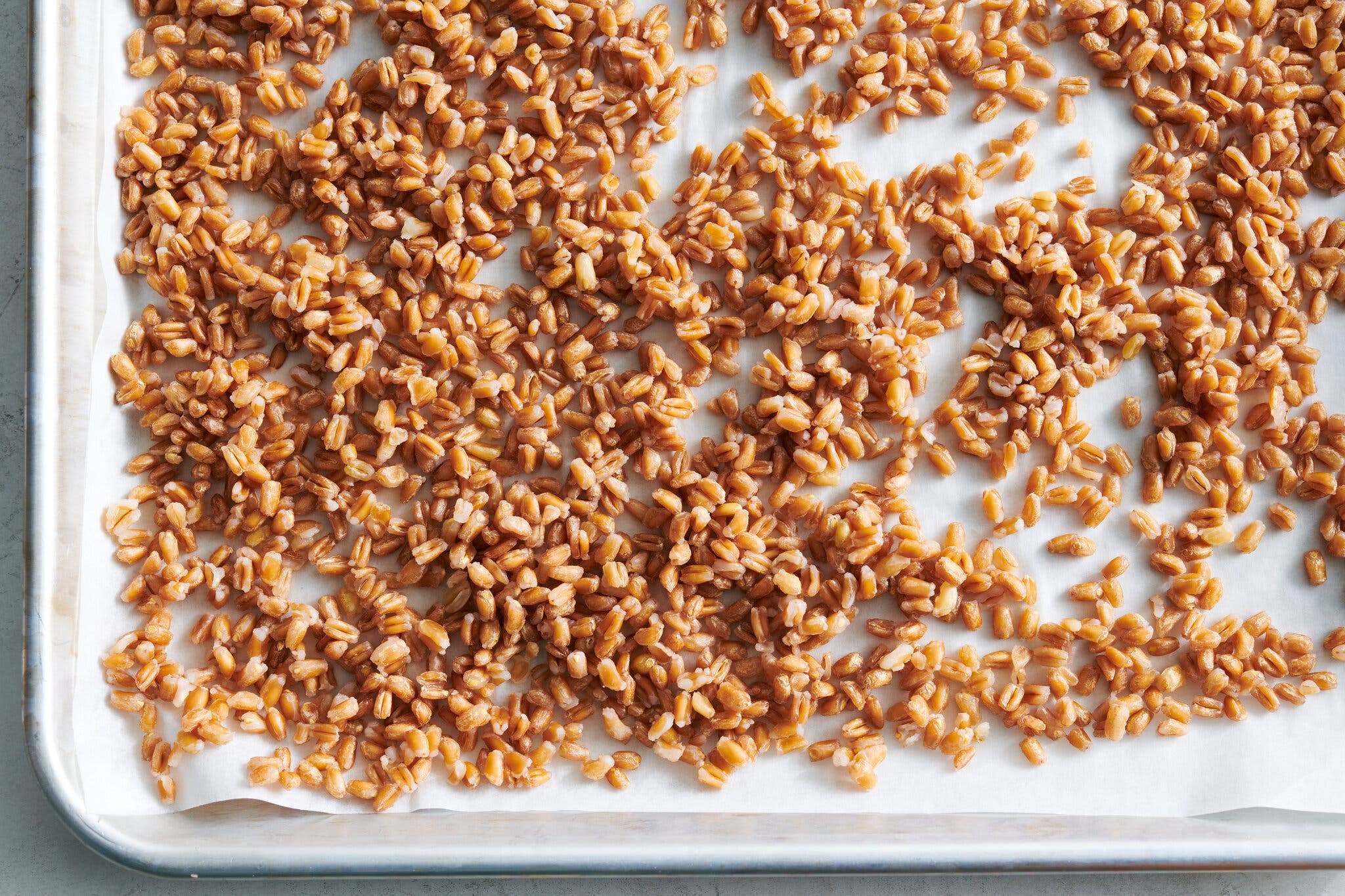 Toasted farro lies on a baking sheet covered in parchment paper.