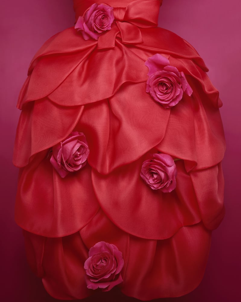 Christian Dior by Yves Saint Laurent Rose rouge dress in red organza. Haute Couture Spring-Summer 1959