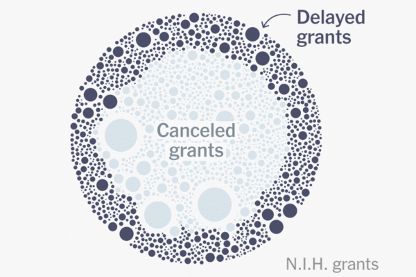 Here are the nearly 2,500 medical research grants canceled or delayed by Trump