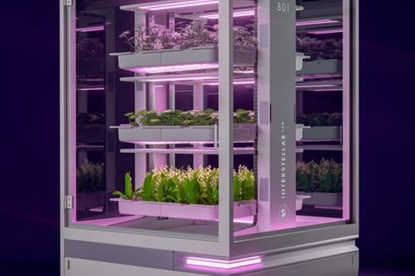 At VivaTech, L’Oréal focuses on AI-powered beauty and longevity
