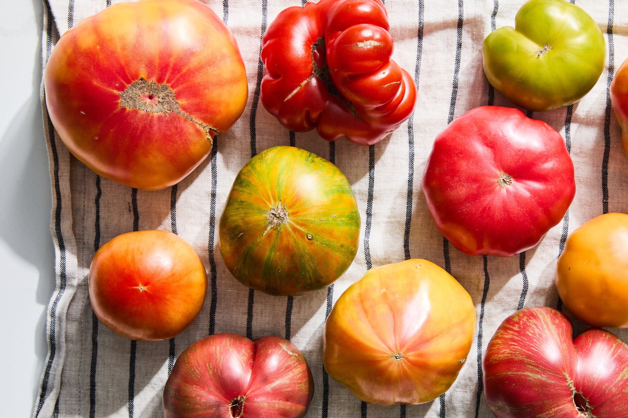 An overhead image of multicolored tomatoes on a kitchen towel.